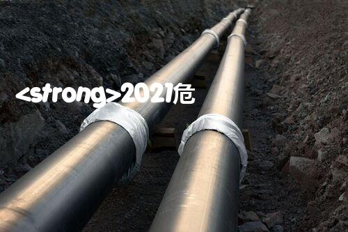 <strong>2021?；访浗庾x：企業(yè)安全治理必知的根本變化</strong>